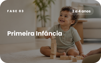 Criança brincando com blocos, ilustrando a Fase 03: Primeira Infância de 2 a 4 anos.